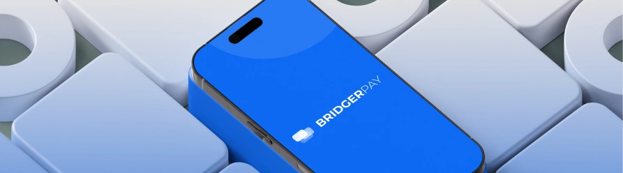 BridgerPay Hero 